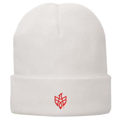 Port Authority Fleece-Lined Knit Cap