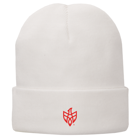 Port Authority Fleece-Lined Knit Cap